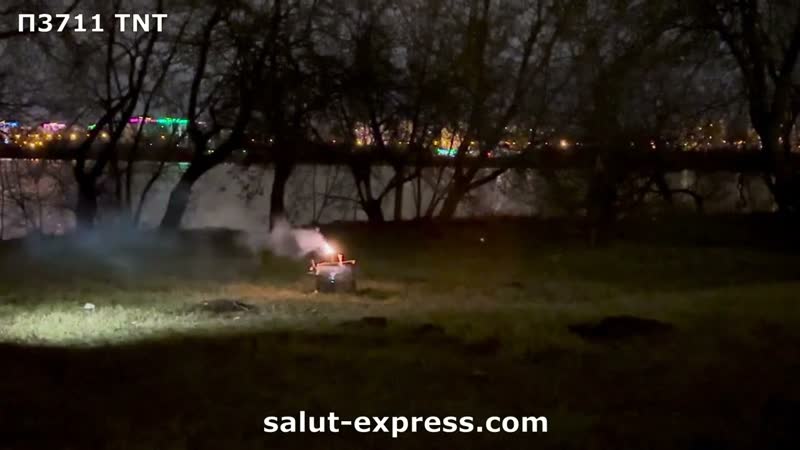 Петарды фитильные TNT П3711 ТНТ ТМ Волк 25гр флеша, пачка 3 шт,