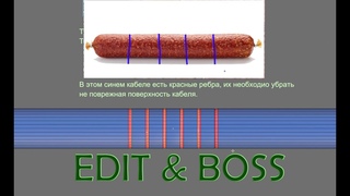 Вступительный квест №5 6 Blender  XYZ School  3D графика