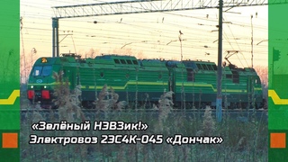 “Зелёный НЭВЗик!“ Электровоз 2ЭС4К-045 “Дончак“ с контейнерным грузовым поездом на станц
