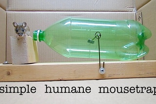 Мышеловка без убийства - humane  MOUSETRAP (that works!)
