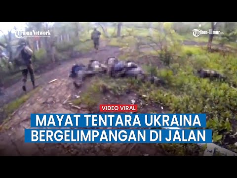 Pasukan Donetks Menyusuri Hutan Demi Habisi Pasukan Ukraina, Mayat Ditemui di Sepanjang
