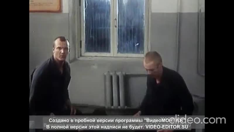 11 клипов слушабельного