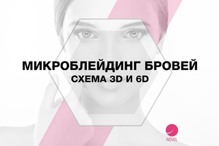 Микроблейдинг бровей / Схема  3D и 6D