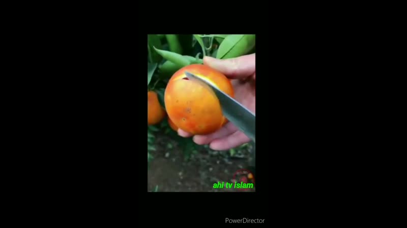 Проект 06 02(6)