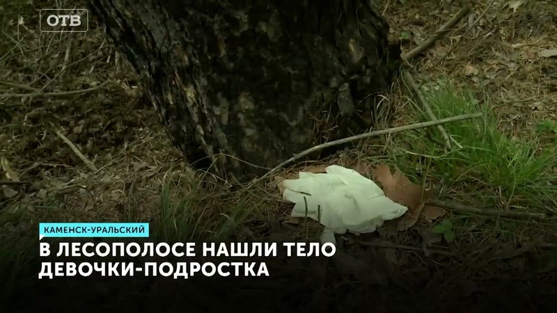 Таинственная смерть 16 летней девушки из Каменска