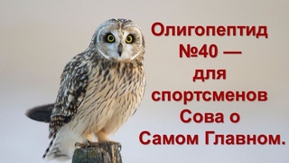 Олигопептид №40  Для спортсменов Сова о Самом Главном.