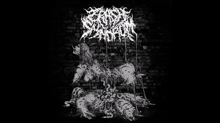 Crash Syndrom - Promo (2017 - Deathgrind/Goregrind)