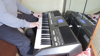 M-Audio EX-P Expression Pedal and Yamaha PSR-S670