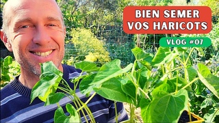 Je sème mes premiers haricots de la saison 2024 #potager