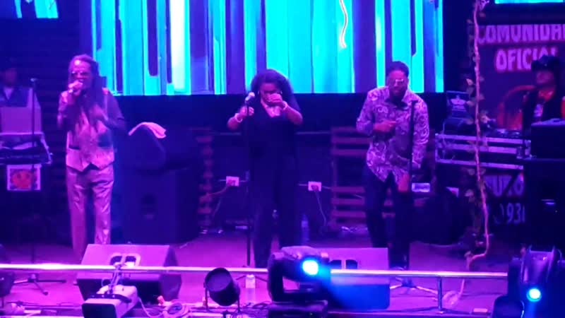 Loft Summer Summer ( Live,