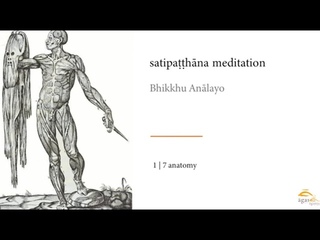 Бхиккху Аналайо  Медитация сатипаттхана  Анатомия 1из7.Перевод нейросети