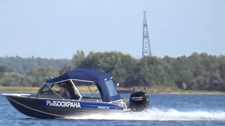 Рыбалка 2020 Кружки Эль классико-живец против хищника .Игра по правилам- покажут ли красную