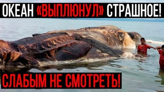 СТР*ШНОЕ НЕИЗВЕСТНОЕ СУЩЕСТВО ВЫКИНУЛО НА БЕРЕГ ИЗ ОКЕАНА!!! () ДОКУМЕНТАЛЬНЫЙ ФИЛЬМ HD