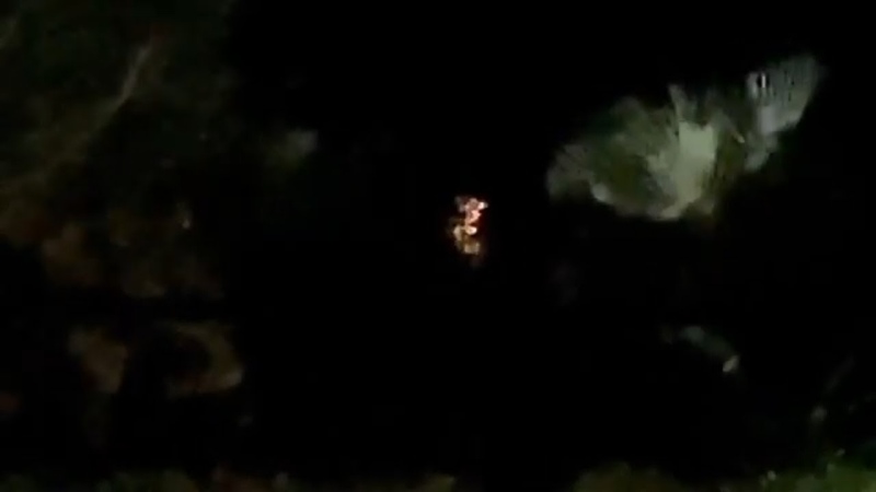 MUFON CASE : 114262 Fort Myers, Florida ( March 20, 2021