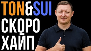 Как заработать на хайпе TON и SUI Airdrop Humster Catizen Musk Empire