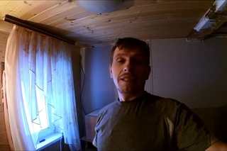 Инкубация перепелов / Начало вывода