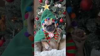 Merry Crisis !