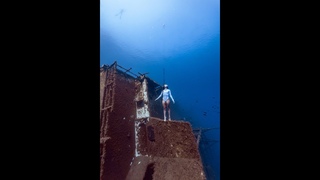 When you ask a professional freediver to pose  #shorts