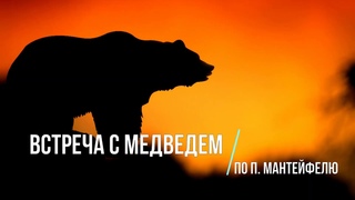 Диктант по русскому языку.  9 класс.  Встреча с медведем. #диктант9класс #диктант