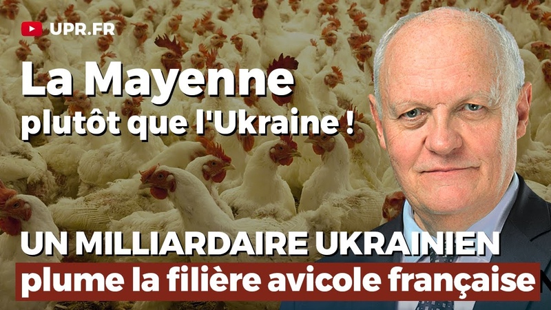 La Mayenne plutôt que l Ukraine, ou comment un milliardaire ukrainien plume laviculture