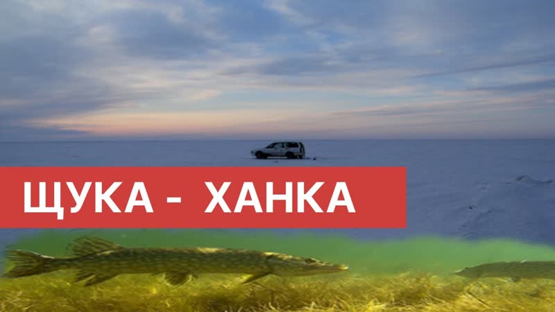 Приморский край. Ханка.