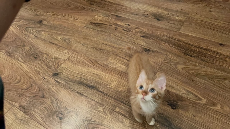 Flauschiger Besuch Yunas neue