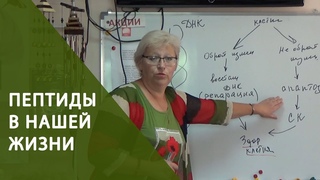 Пептиды в нашеи жизни