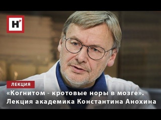 КОГНИТОМ  КРОТОВЫЕ НОРЫ В МОЗГЕ. ЛЕКЦИЯ АКАДЕМИКА КОНСТАНТИНА АНОХИНА