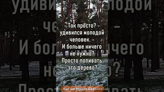 Притча quot #цитаты #мудрость #shorts
