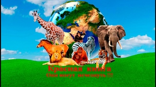 Красная книга. Они могут исчезнуть!!!