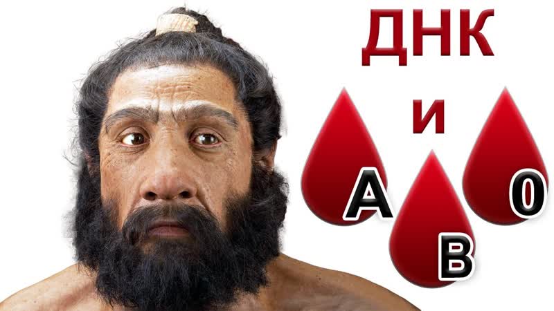 Вклад неандертальцев в ДНК современных людей. Группы крови