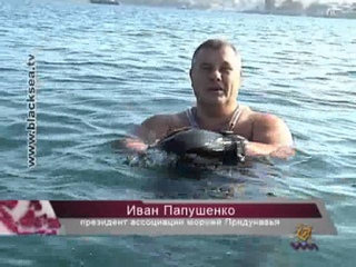 В Севастополе моржи открыли купальный сезон