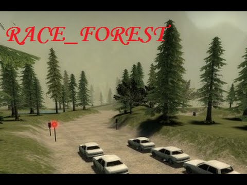Race