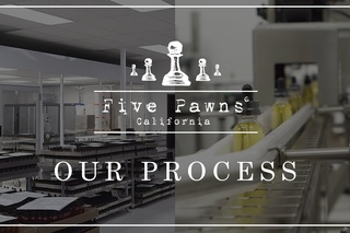 Five Pawns Sets New Standard for Vapor Liquid Manufacturing