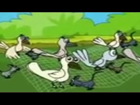 Rat the pegion Friendship stories Animated story for