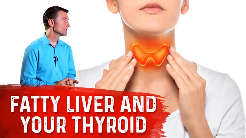 Why Can A Fatty Liver Slow Your Thyroid ( Hypothyroid) Dr.