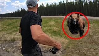 Разорвал в Клочья! Жуткие Встречи Человека c Медведем!