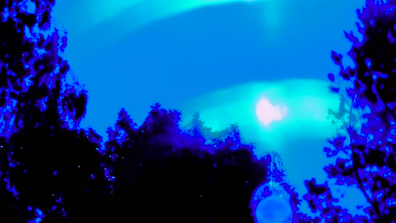 June 19 2020 6