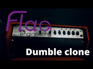 усилитель Flag Engineering Dumble Clone