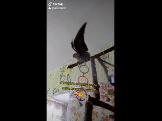 Мой любимый Крош!