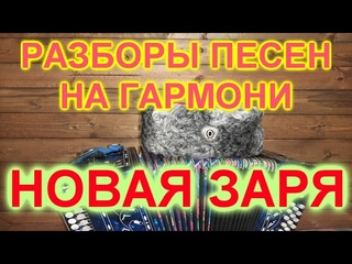 РАЗБОР ПОД ГАРМОНЬ! НОВАЯ ЗАРЯ!