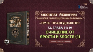 (73) () Месилат Йешарим | Урок 73 | Глава  | Очищение от ярости и злости (1)