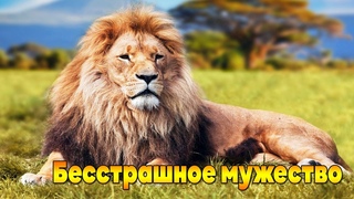 Бесстрашное мужество - мотивация на успех номер 1