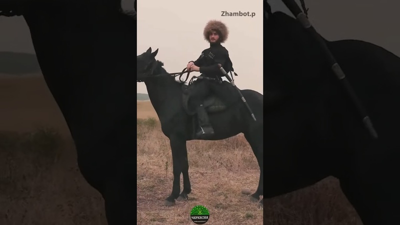 Кабардинская лошадь, Адыгэш, Черкесская лошадь , circassian,