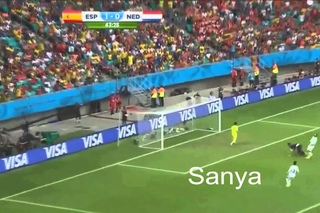 Robin Van Persie