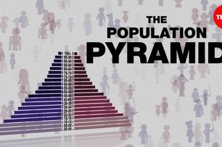 Population pyramids: Powerful predictors of the future - Kim Preshoff