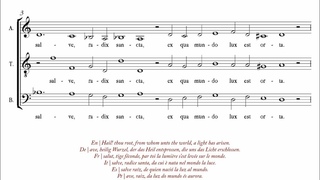 Dufay | Ave, regina clorum  3 Singer Pur