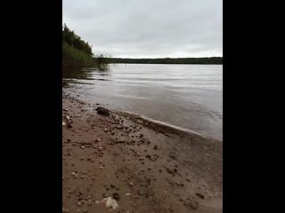 Под Приозерском