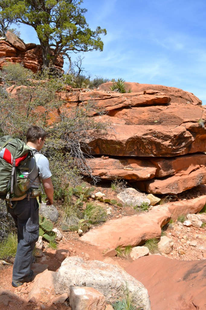 Наталья Корицкая | San Francisco