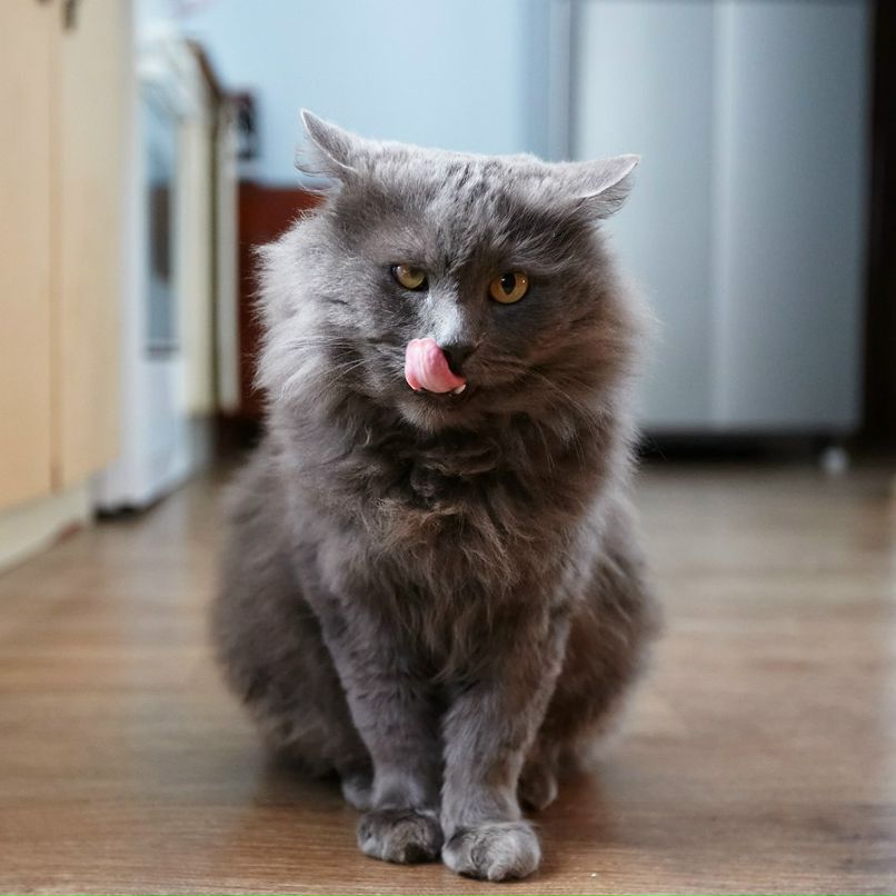 Виталий Бартышов | Краснодар